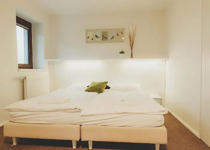 Novy Rybnik 3*